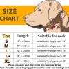 Freezx Dog Choke Collar Slip P Chain,Heavy Chain Dog Metal Training Choke Collars, Adjustable Weather Proof Alloy Steel Necklace for Small Medium Large Dogs - Image 2