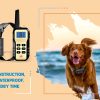 1100 Yard Remote Dog Shock Collar Automatic Stop Bark Training Device with Beeping Vibrating Shocking E-collar To Train 3 Small Medium to Large Dogs (3-dog kit) - Image 2