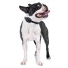 Educator CPAD-010 Dog Training Collar Receiver Comfort Pad, Improves Contact, Reduces Irritation and Skin Sensitivities, Winged Soft Comfort, Short Hair - Image 3