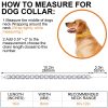 ANCIRS 10 inch 5A Cubic Dog Collars Chain for Small Medium Dogs, Iced Out Crystal Stones Tennis Bling Collar Chain for Pet Puppy- Silver - Image 7