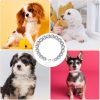 ANCIRS 10 inch 5A Cubic Dog Collars Chain for Small Medium Dogs, Iced Out Crystal Stones Tennis Bling Collar Chain for Pet Puppy- Silver - Image 2