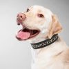 Didog Genuine Leather Dog Collars,Braided Dog Collar Leather Stylish & Durable Metal Chain Dog Collar for Medium Large Dogs,Black,L - Image 2