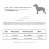 Didog Genuine Leather Dog Collars,Braided Dog Collar Leather Stylish & Durable Metal Chain Dog Collar for Medium Large Dogs,Black,L - Image 3