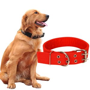 prong collars,