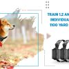 1100 Yard Remote Dog Shock Collar Automatic Stop Bark Training Device with Beeping Vibrating Shocking E-collar To Train 3 Small Medium to Large Dogs (3-dog kit) - Image 4