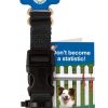 PetSafe KeepSafe Break-Away Collar, Prevent Collar Accidents for Your Dog or Puppy, Improve Safety, Compatible with Leash Use, Adjustable Sizes