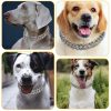 Flatfoosie Gold Dog Chain Collar Diamond Cuban Link Durable Dog Chain Collar for Outside Walking Secure Buckle Dog Gold Chain for Small Medium Large Dogs Cats (20inch, Silver) - Image 4