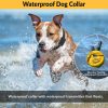 Educator E-Collar Humane Dog Training Collar with Remote, 100 Safe Tapping Stimulation Levels, Waterproof, Rechargeable, 1/2 Mile 1 Small-Medium Dog, Yellow - Image 3