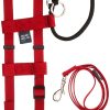 Cesar Millan Original American Illusion Collar Training Collar & Lead