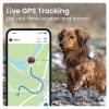 Tractive GPS Tracker & Health Monitoring for Dogs - Market Leading Pet GPS Location Tracker, Wellness & Escape Alerts, Waterproof, Works with Any Collar (Brown) - Image 8