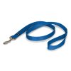 PetSafe Nylon Dog Leash - Strong, Durable, Traditional Style Leash with Easy to Use Bolt Snap - 1 in. x 4 ft., Royal Blue