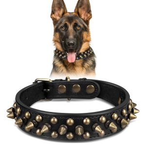 spiked dog collars