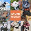 DOG CARE Dog Shock Collar with Remote, Dog Training Collars with 3 Modes, Waterproof Electronic Dog E Collar with 1500FT Remote, Keypad Lock for All Dogs - Image 2