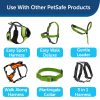 PetSafe Nylon Dog Leash - Strong, Durable, Traditional Style Leash with Easy to Use Bolt Snap - 3/4 in. x 6 ft., Apple Green - Image 2