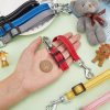 CHGCRAFT 6Pcs 6 Colors Prong Collar Backup Adjustable Dog Collar Clip for Dog Harness Collar Backup Clip for Dog Puppy Pet Harness - Image 4