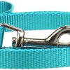 Zack & Zoey Basic Nylon Dog Leash, 6-Feet x 1-Inch Lead, Bluebird