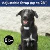 FreeSpirit Dog Training Collar with Remote - Safe Shock Collar with Tone, Vibrate, 99 Static Levels - Stop Jumping & Bad Behavior, For Small Dogs & Large Dogs, Rechargeable, Waterproof, 330 YD Range - Image 3