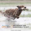 SportDOG Brand? YardTrainer 100 Remote Trainer - Shock Collar - Train with vibrate, Tone, and Static - Image 5