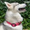 Tuff Pupper Ultra Comfort Padded Dog Collar | Thick Neoprene Padding | Ballistic Nylon Strap Dog Collar with Reflective Stitching | Durable Metal Buckle & Integrated ID Tag Holder | Waterproof Collar - Image 4