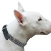 Dogs My Love Triple Metal Chain 1" Wide Genuine Leather Straps Dog Collar (20"-22.5") - Image 2