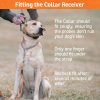 SportDOG Brand FieldTrainer 425XS Add-A-Dog Collar for Stubborn Dogs - Additional, Replacement, or Extra Collar for Your Remote Trainer - Waterproof and Rechargeable with Tone, Vibration, and Shock - Image 4