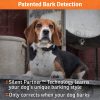 SportDOG Brand NoBark 10 Collar - Rechargeable, Programmable Bark Collar - Waterproof & Submersible, Black - Image 6