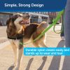 PetSafe Nylon Dog Leash - Strong, Durable, Traditional Style Leash with Easy to Use Bolt Snap - 3/4 in. x 6 ft., Apple Green - Image 4