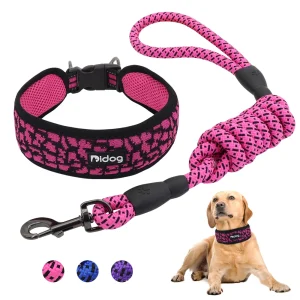 Nylon leashes,