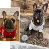 Dog Chain Collar Black Gold 10MM Cuban Link Dog Collar Stainless Steel Metal Slip Chain Collar for Dogs Heavy Duty & Chew Proof - AliExpress 15 - Image 2