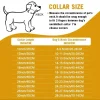 Dog Chain Collars 32MM Strong Choker collars Stainless Steel Metal Pitbull Gold Pet Necklace For Large Dogs - AliExpress 15 - Image 4