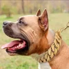 Dog Chain Collars 32MM Strong Choker collars Stainless Steel Metal Pitbull Gold Pet Necklace For Large Dogs - AliExpress 15 - Image 6
