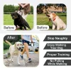 Dog Collar for Anti-Pull Training Quick-Release Metal Buckle Adjustable Stainless Steel Collar for Dogs Pet Prong Choke Collar - AliExpress 15 - Image 6