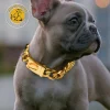 Gold Dog Luxury Necklace Stainless Steel Dogs Collar Small Big Dogs Silver Solid Cuban Link Chain for Pet Supplies Accessories - AliExpress 15 - Image 2