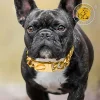 Gold Dog Luxury Necklace Stainless Steel Dogs Collar Small Big Dogs Silver Solid Cuban Link Chain for Pet Supplies Accessories - AliExpress 15