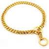 Luxury Dog Collar Gold Dog Stainless Metal Chain Choker For Pitbull Bulldog Teddy French Bulldog Metal Collar Pet Training Neckl - AliExpress 15 - Image 5