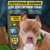 [New Edition] Dog Shock Collar with Remote -Dog Training Collar for Large Medium Small Dogs Waterproof Rechargeable E Collar wit - Image 2