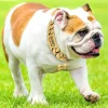 Personalized Dog Name Metal Gold Dog Chain Collars Stainless Steel Pet Training Choke Collar For Large Dogs Pitbull Collar - AliExpress 15 - Image 2