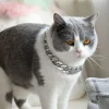 Pet Dog French Bulldog Collar Adjustable Fashion Necklace Chain Neck Strap For Small Medium Dogs Products - AliExpress 15 - Image 2