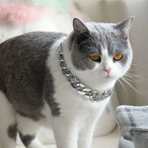 Pet Dog French Bulldog Collar Adjustable Fashion Necklace Chain Neck Strap For Small Medium Dogs Products - AliExpress 15 - Image 2