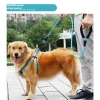 Pet Dog Leash, Dog Leads with Soft Padded Handle Highly Reflective Rope for Night Walking, Dog Leashes for Medium and Large Dogs - AliExpress 15 - Image 3