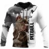 Pet Dog Pitbull Hoodies Men's Hoodie 3D Print Unisex Adult's Tops Autumn Long Sleeve Streetwear Hooded For Men Clothing