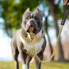 Stainless Steel Dog Leash Pet Lead Traction Super Strong Gold Collar Chain 32mm 19mm Bulldog Pitbull Large Dog Collar Leash - AliExpress 15