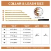 Stainless Steel Metal Gold Dog Accessories Chain Collar Leash Pet Training Collar For Medium Large Dogs Pitbull French Bulldog - AliExpress 15 - Image 6