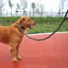 Strong Coarse Nylon Dog Leash Army Green Canvas Double Row Adjustable Dog Collar L/XL Medium Large Dog Pitbull Lead Set - AliExpress 15 - Image 6