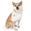 Pet Bandana Collar
