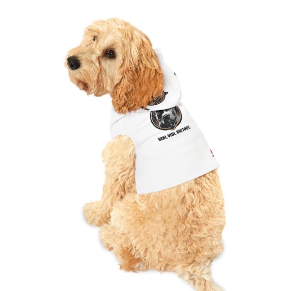 Pet Hoodie