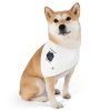 Pet Bandana Collar