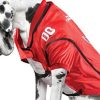Littlearth Las Vegas Raiders NFL Premium Pet Jersey  Sports & Outdoors - Image 3