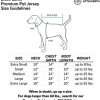 Pets First NFL Las Vegas Raiders T-Shirt Dogs & Cats, Medium. Football Dog Shirt NFL Team Fans. New & Updated Fashionable Stripe Design, Durable & Cute Sports PET TEE Shirt Outfit (OAK-4146-MD)  Sports & Outdoors - Image 4