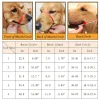 Comfy Soft Silicone Big Dog Muzzles for Medium Large Dogs Adjustable Strong Basket Pet Mouth Mask Labrador Pitbull Accessories - AliExpress 15 - Image 2
